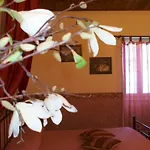 Vinci Oda ve Kahvaltı Noto