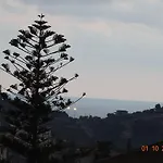 Vinci Noto