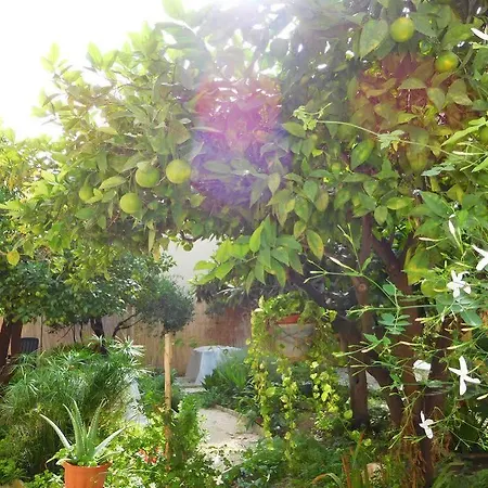 Bed and breakfast Vinci