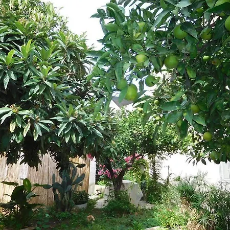 Bed and breakfast Vinci