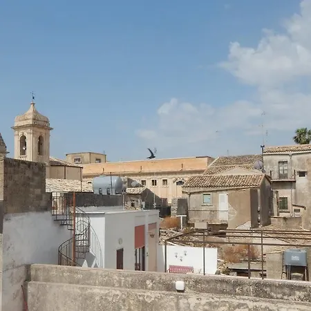 Vinci Noto
