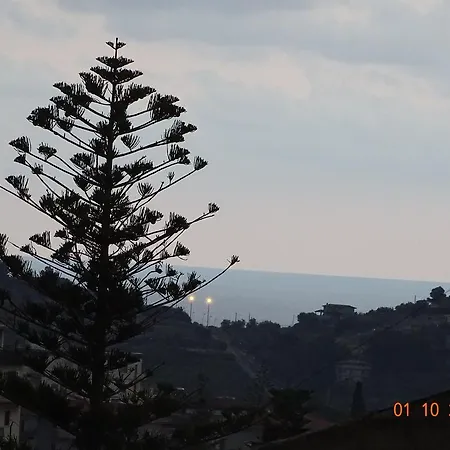 Vinci Noto