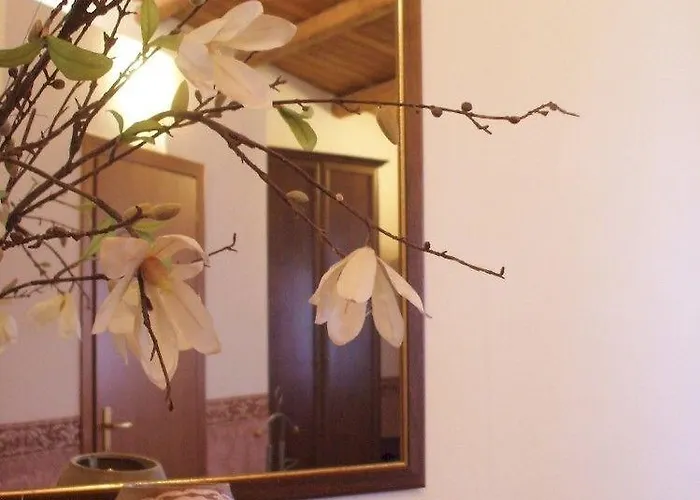 Vinci Bed and breakfast 4*