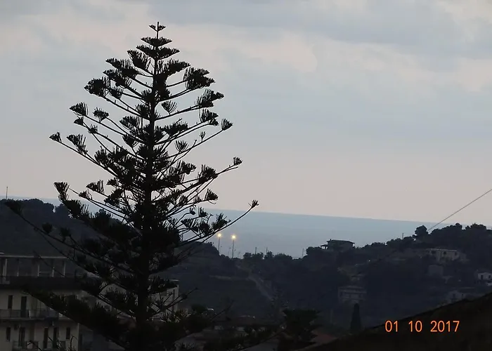Vinci Noto